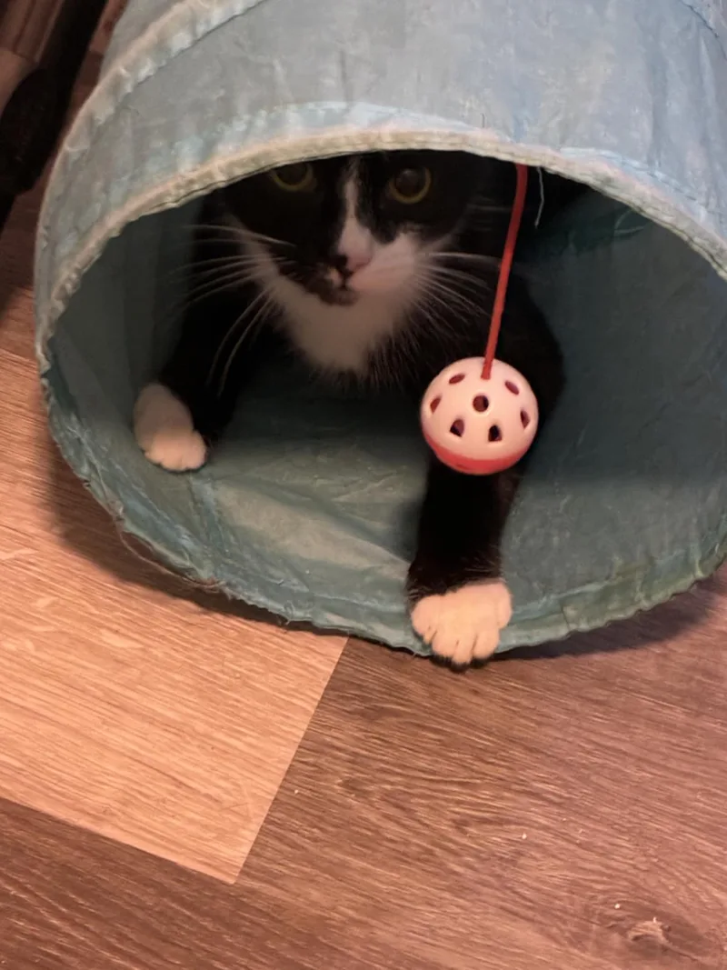 Tanner & Tyler thumbnail 3