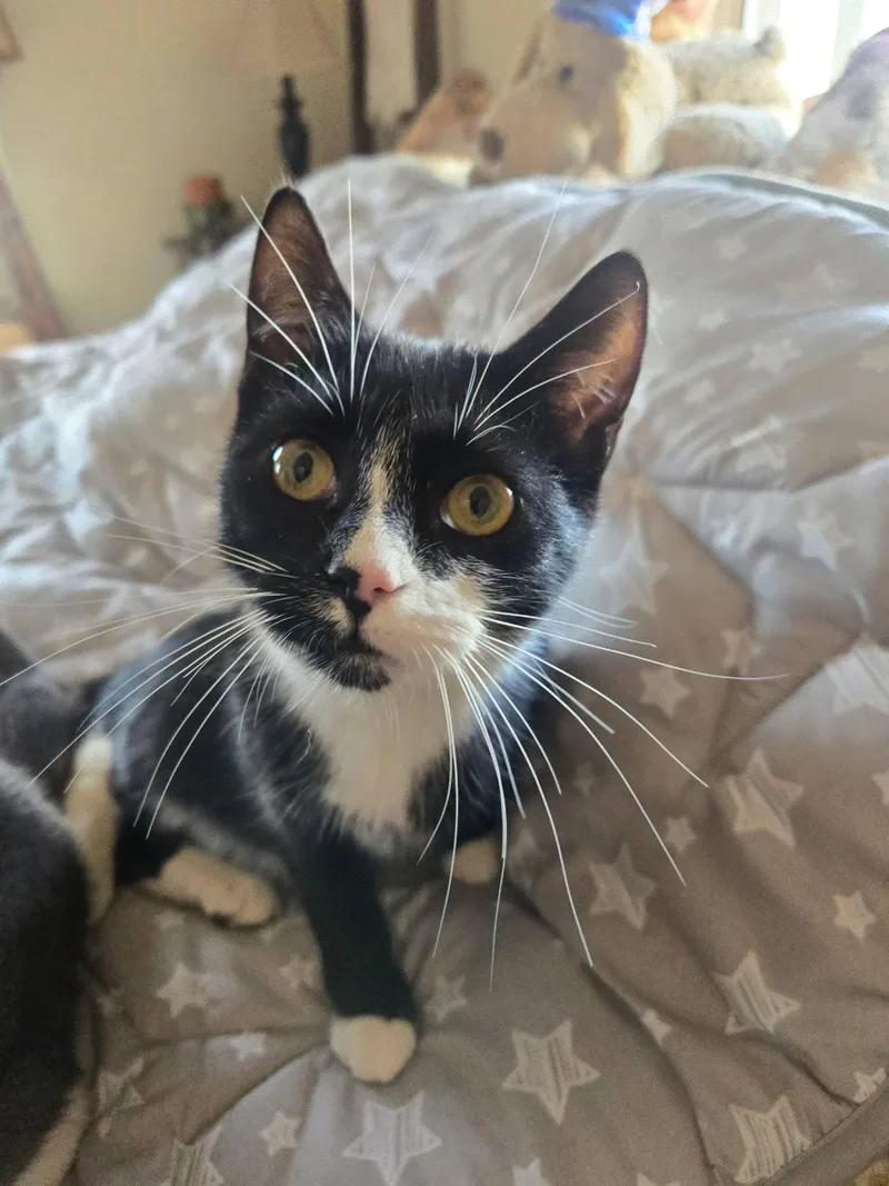 Tanner & Tyler thumbnail 4