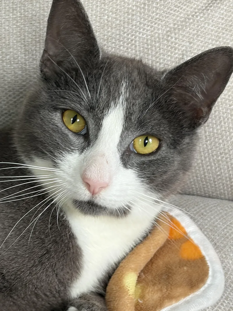 Tanner & Tyler thumbnail 5