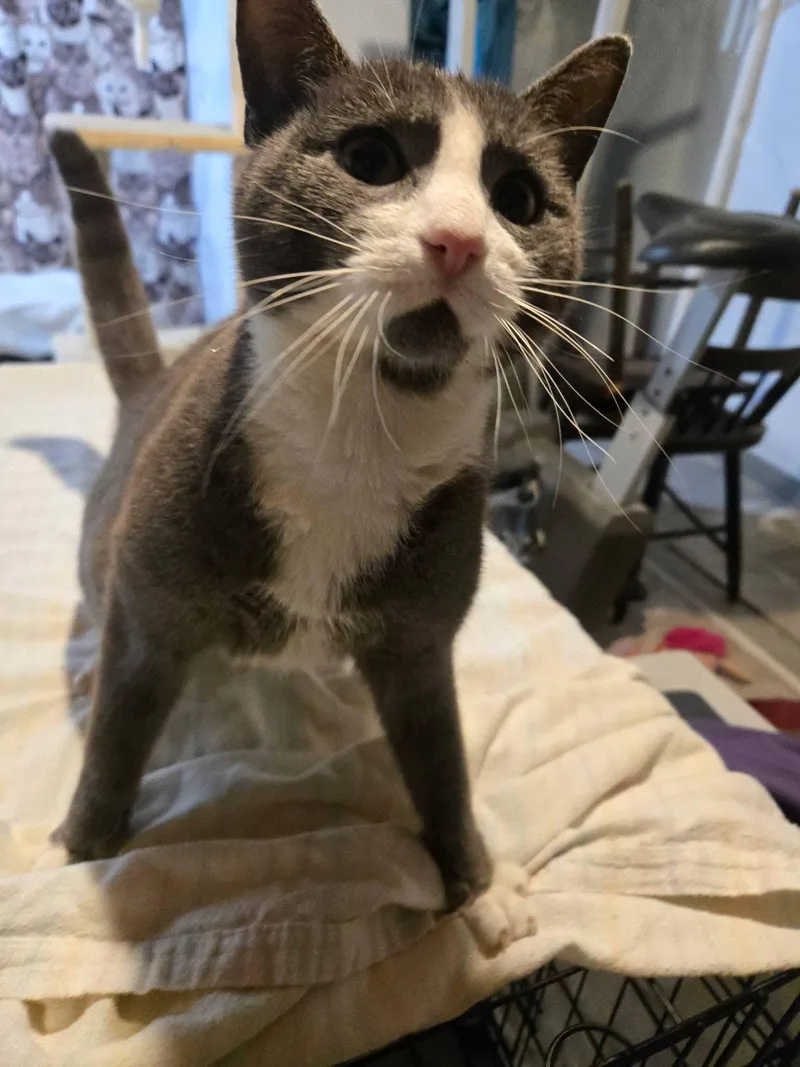 Tanner & Tyler thumbnail 6