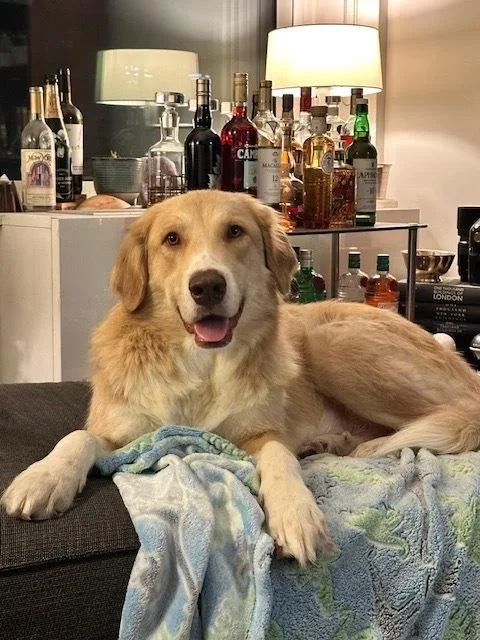 Elizabeth thumbnail 2