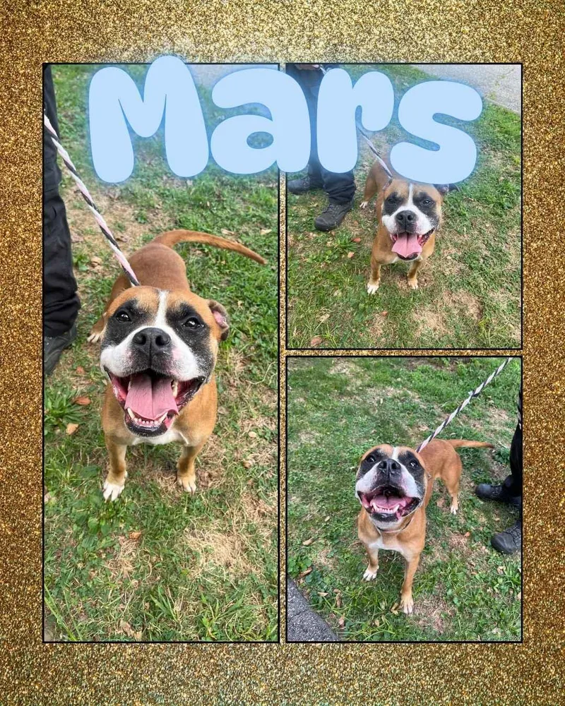 Mars