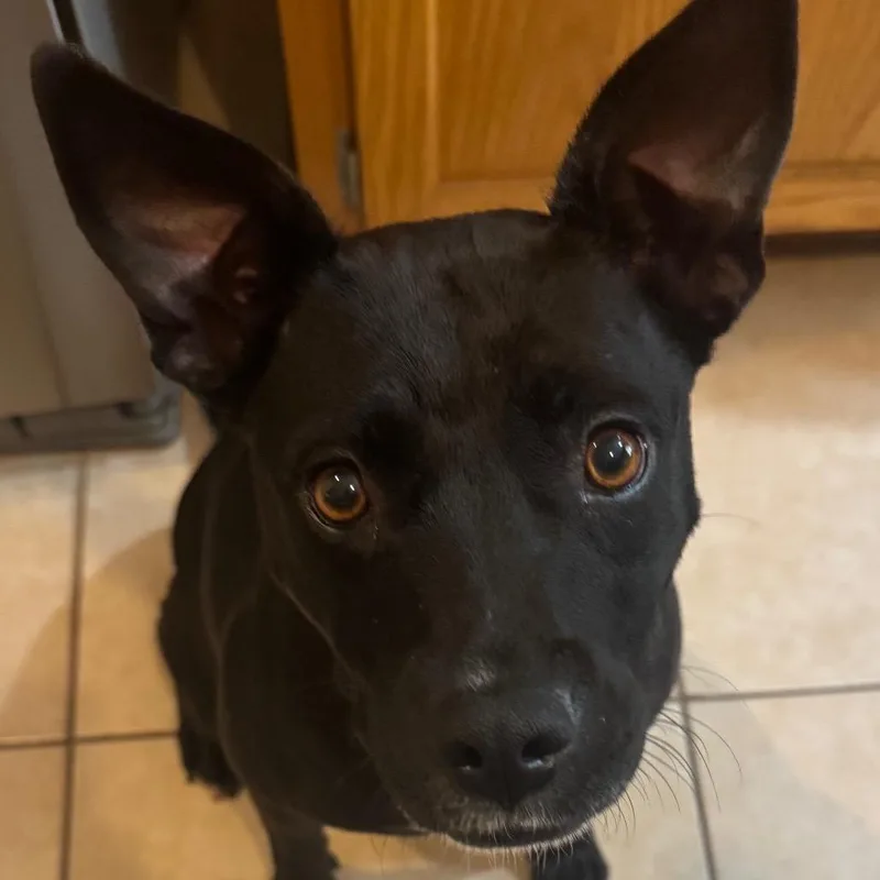 Chloe