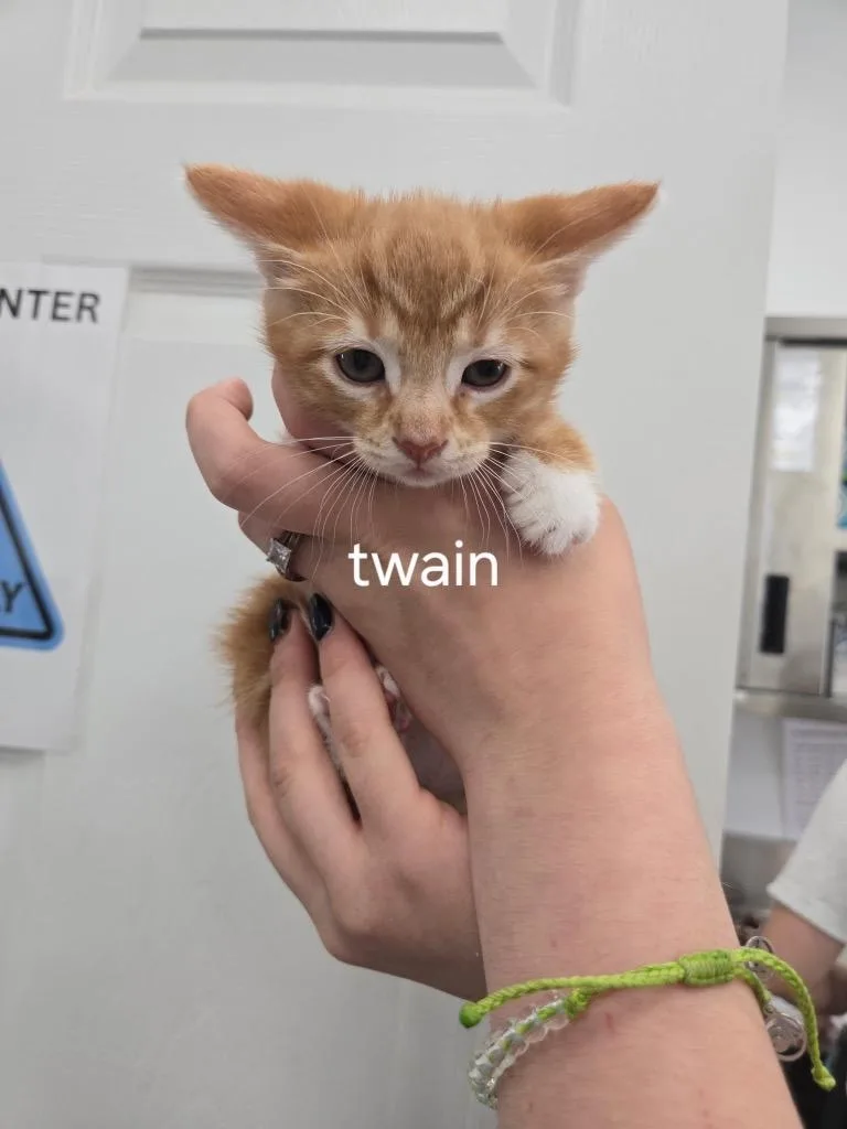 Twain