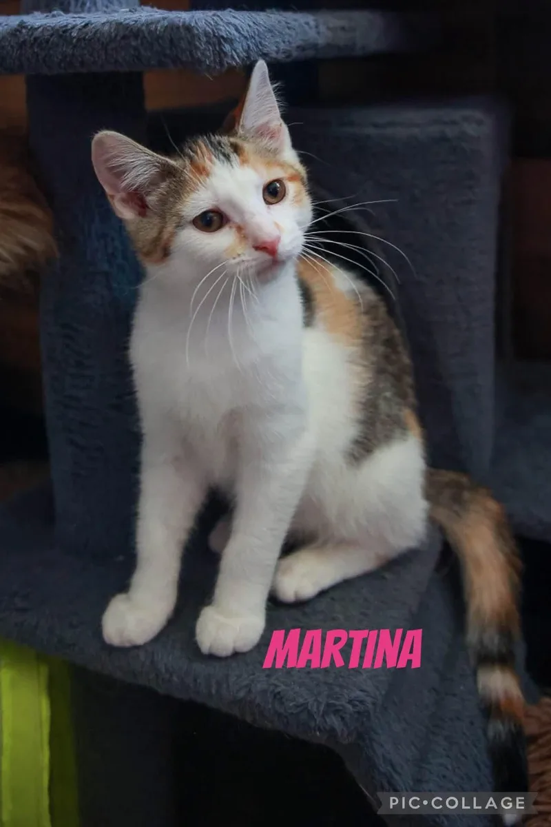 Martina