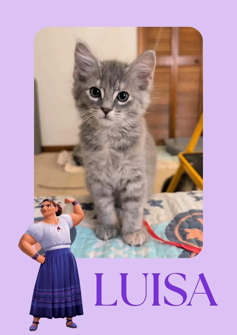 Luisa thumbnail 3