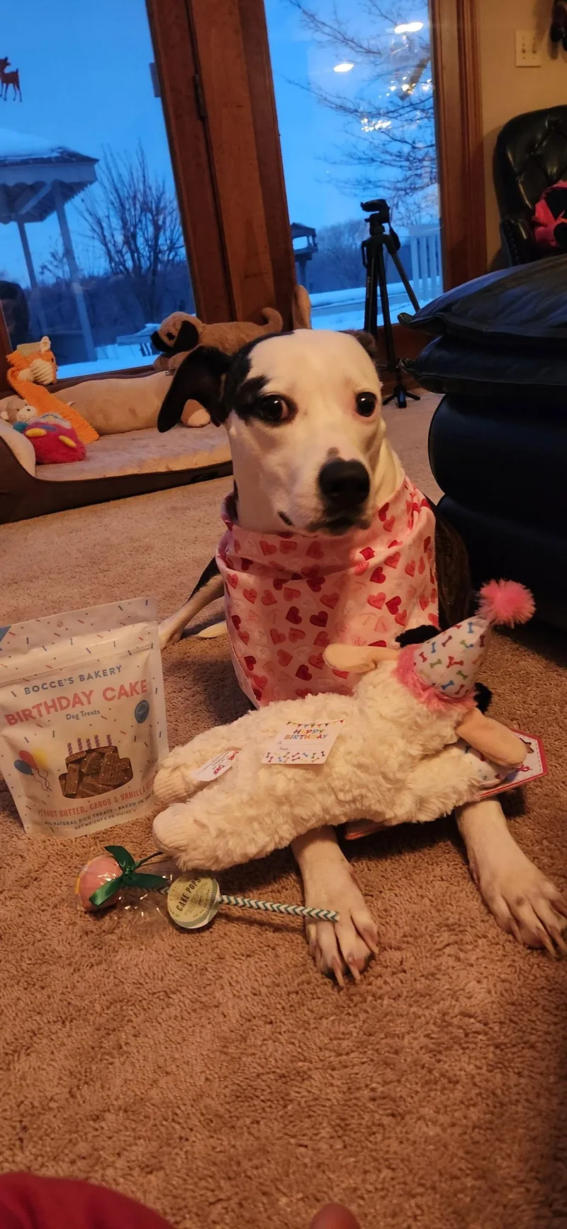 Piper Jo thumbnail 2