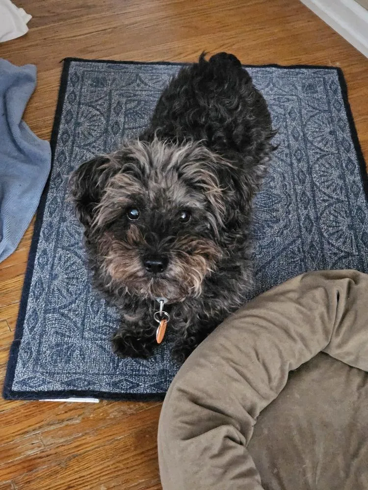 Chloe thumbnail 2