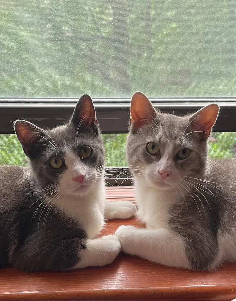 Max And Sam thumbnail 2