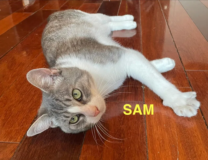 Max And Sam thumbnail 3