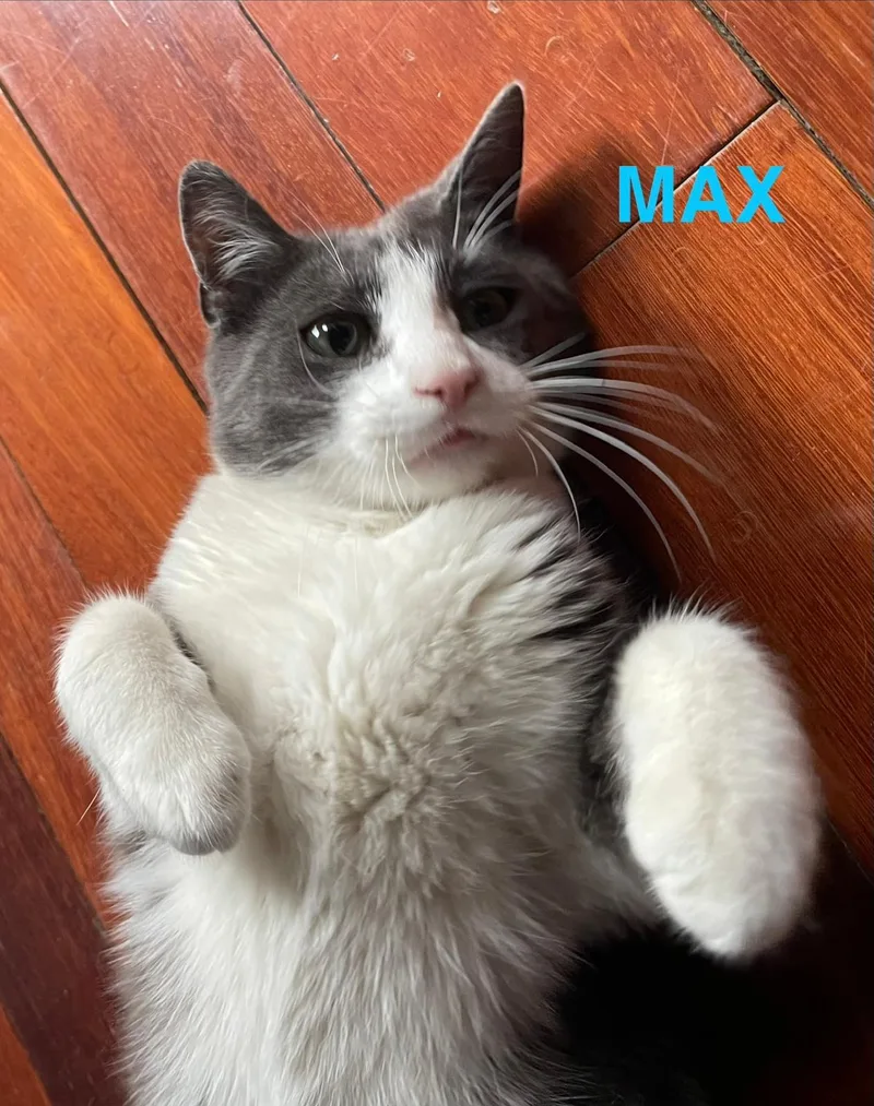 Max And Sam thumbnail 4