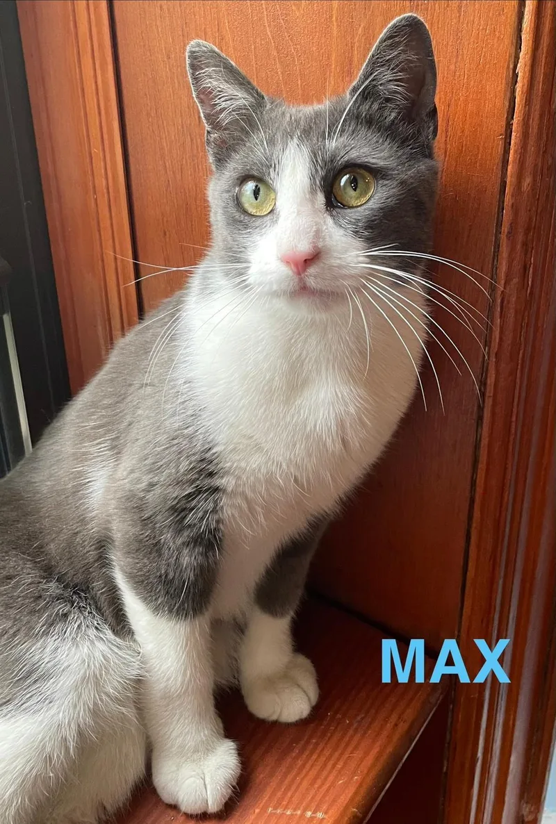 Max And Sam thumbnail 5