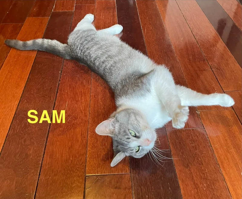 Max And Sam thumbnail 6