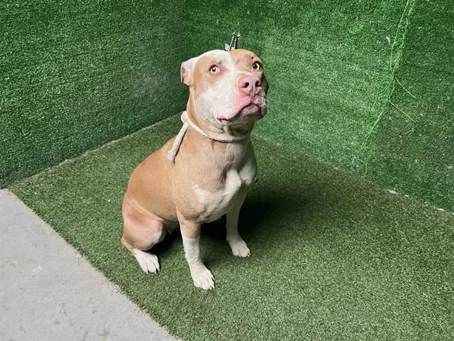 Winnie