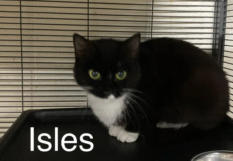 Isles