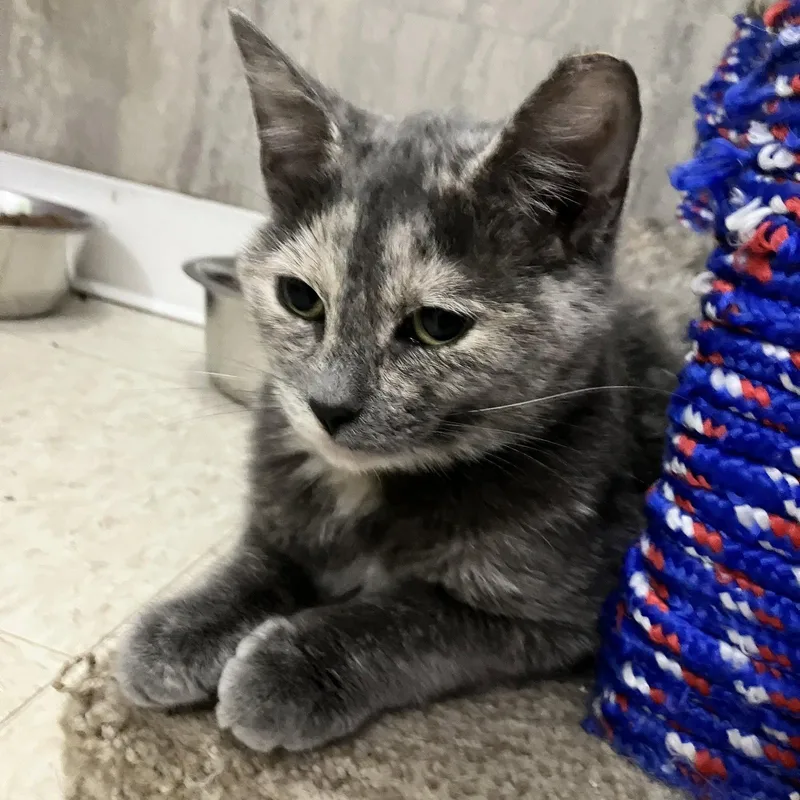 Sue Ellen thumbnail 2