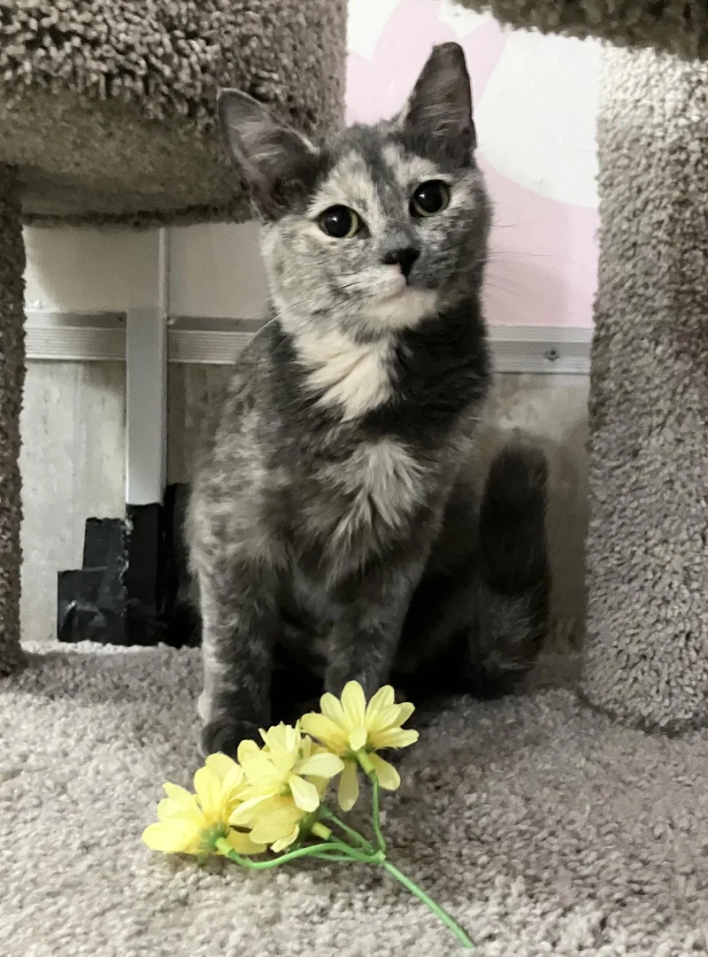 Sue Ellen thumbnail 3