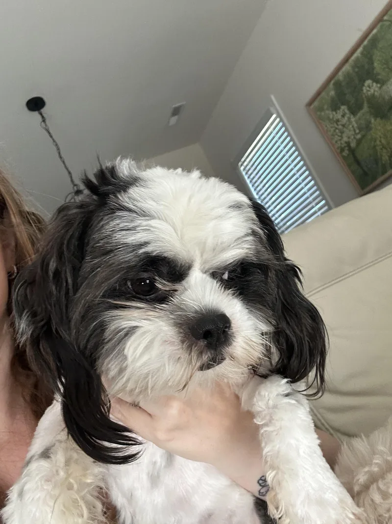 Max