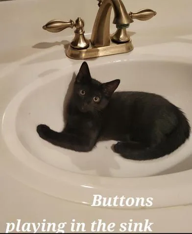 Buttons thumbnail 3