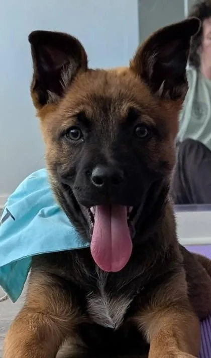 Clyde