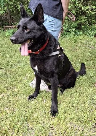 Nikki