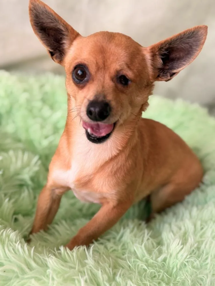 Lighthouse thumbnail 2