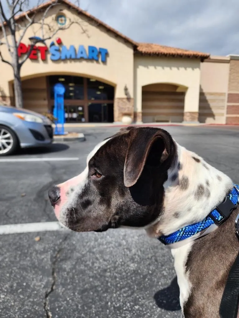 Awesome Young Handsome Cool thumbnail 2