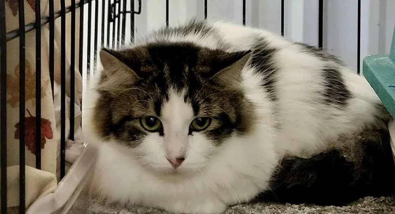 Jane "john" Adams thumbnail 2