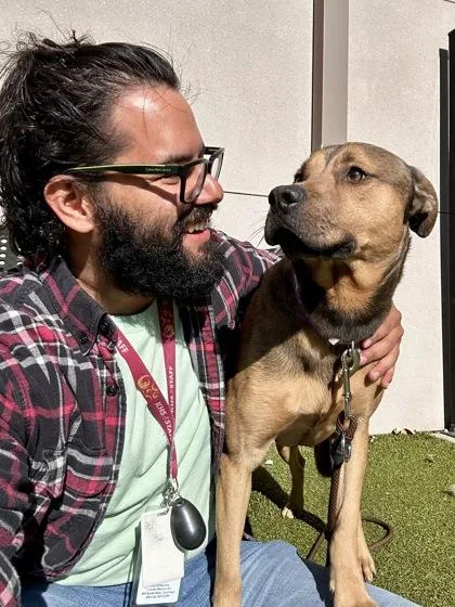An adult large-sized male Mixed Breed dog named Max for adoption in Wichita, KS