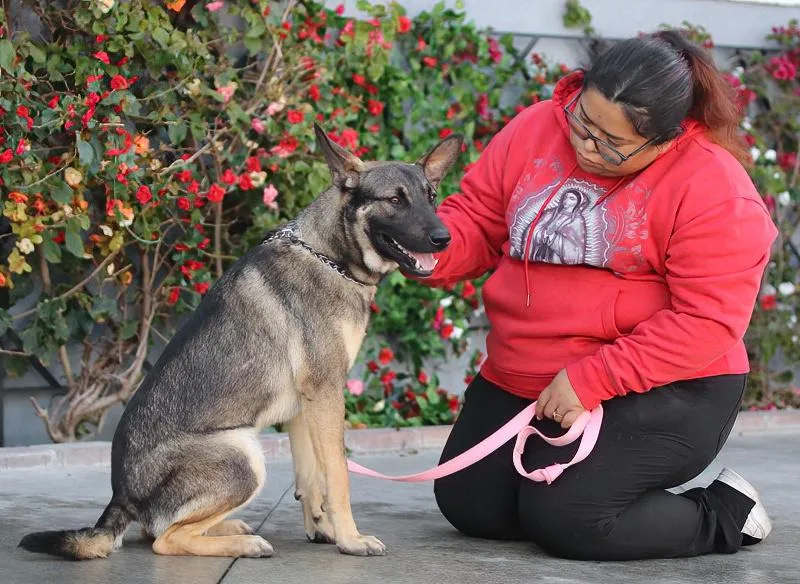 Dexter Von Dechow thumbnail 6