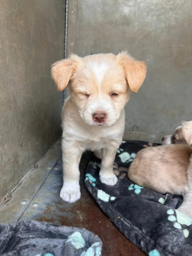 Theodore thumbnail 2