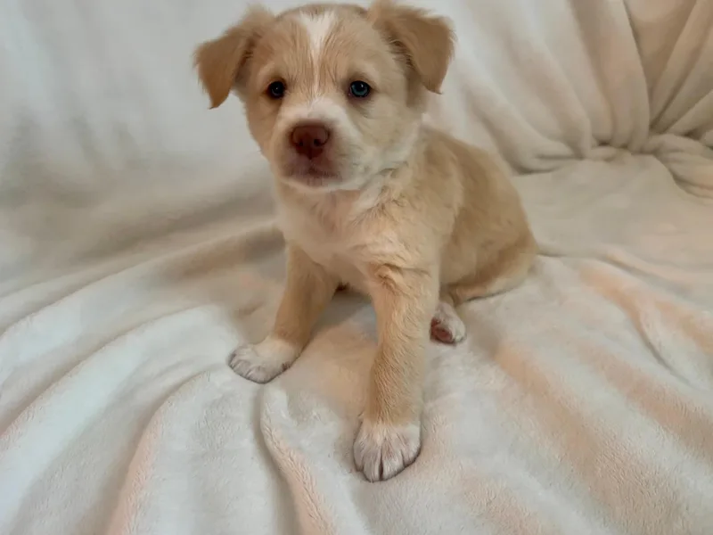 Theodore thumbnail 3