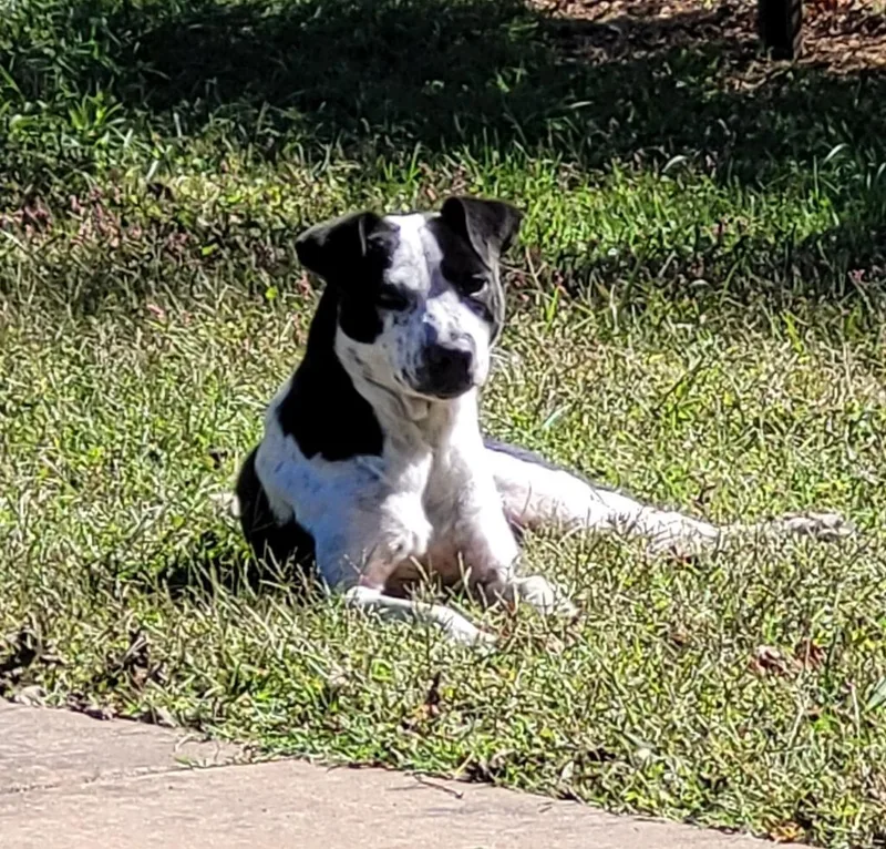 Coraline thumbnail 2