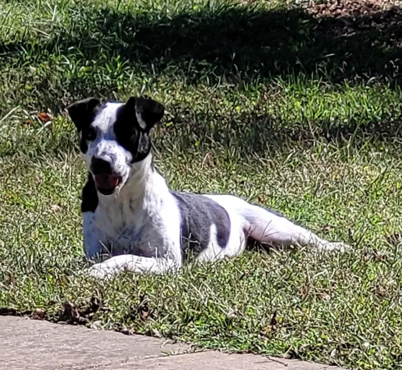 Coraline thumbnail 5