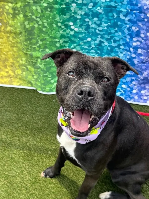 Space thumbnail 3