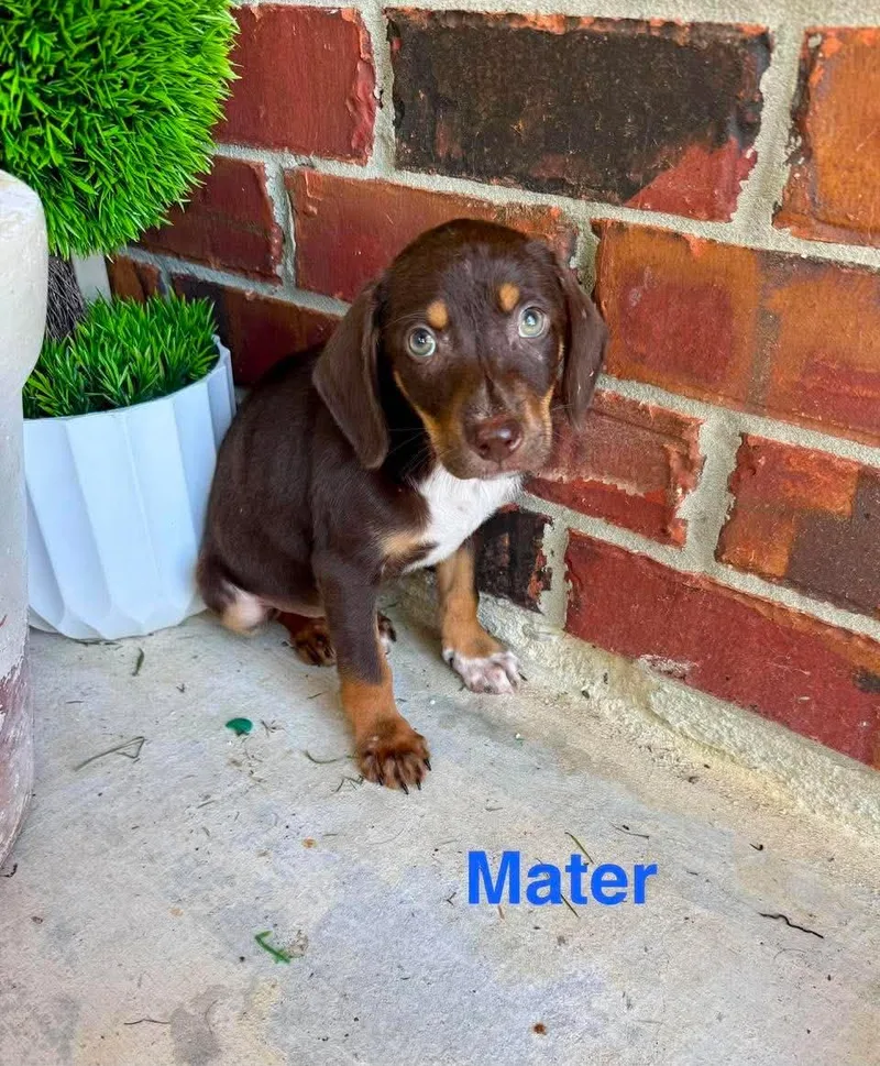 Mater thumbnail 2