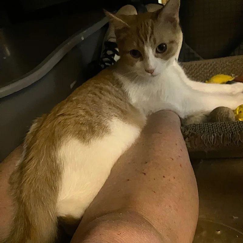 Casey thumbnail 2