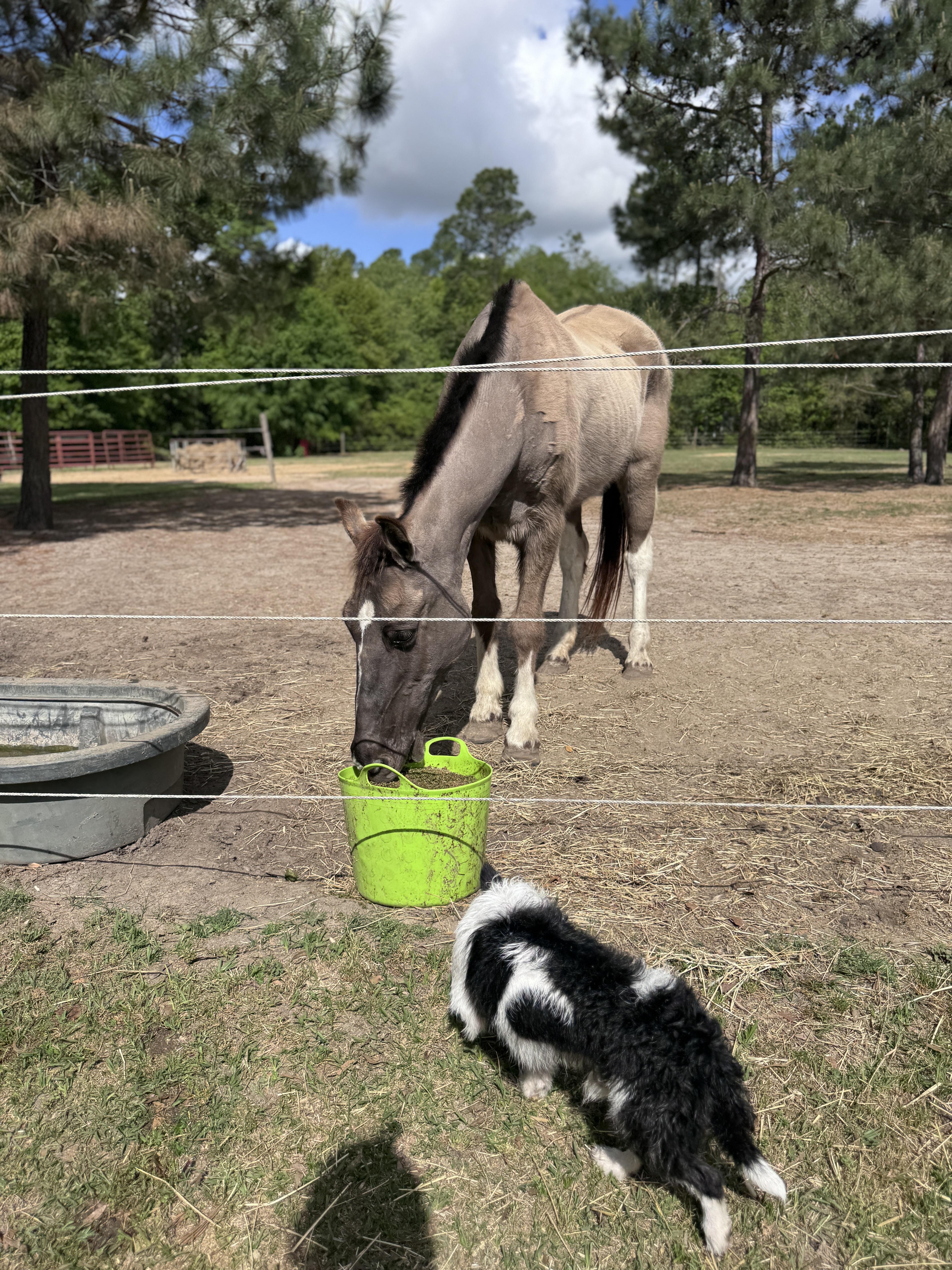 Mcgillicuddy thumbnail 6