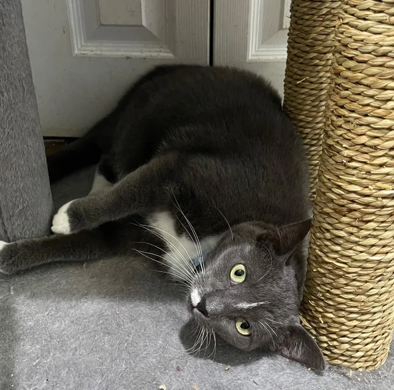 Warrick  Walli thumbnail 2