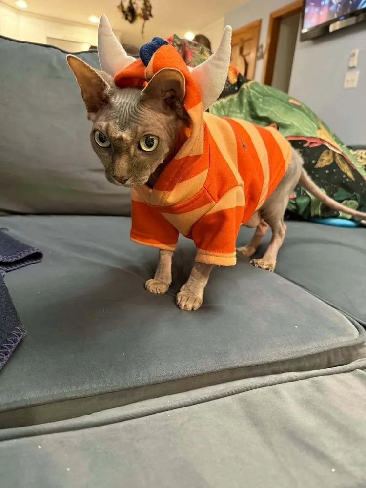 Mochi thumbnail 3