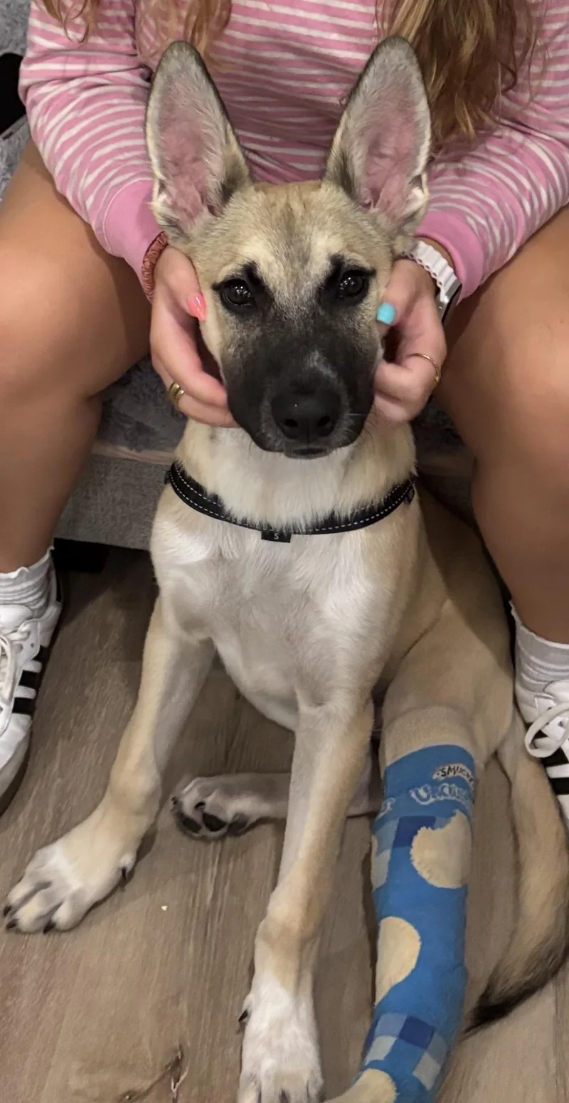 Benny