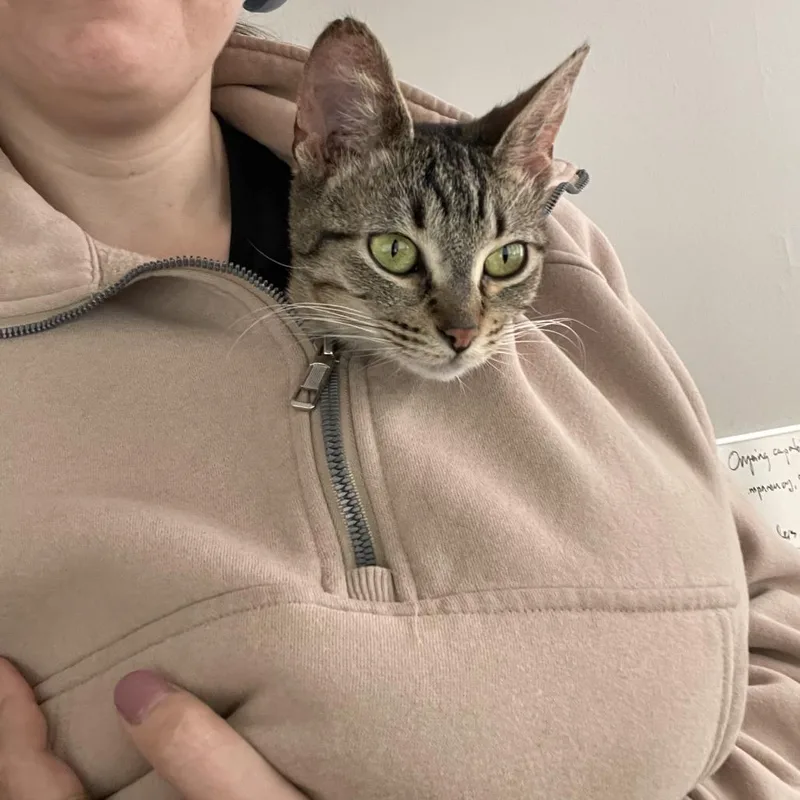 Apple Pie thumbnail 6