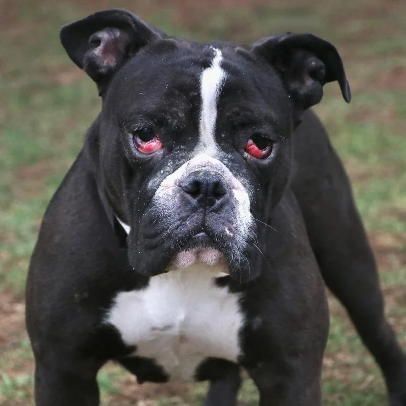 Marley Trini thumbnail 2