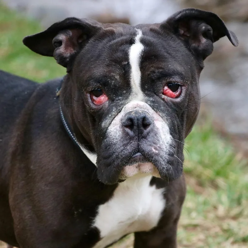 Marley Trini thumbnail 3