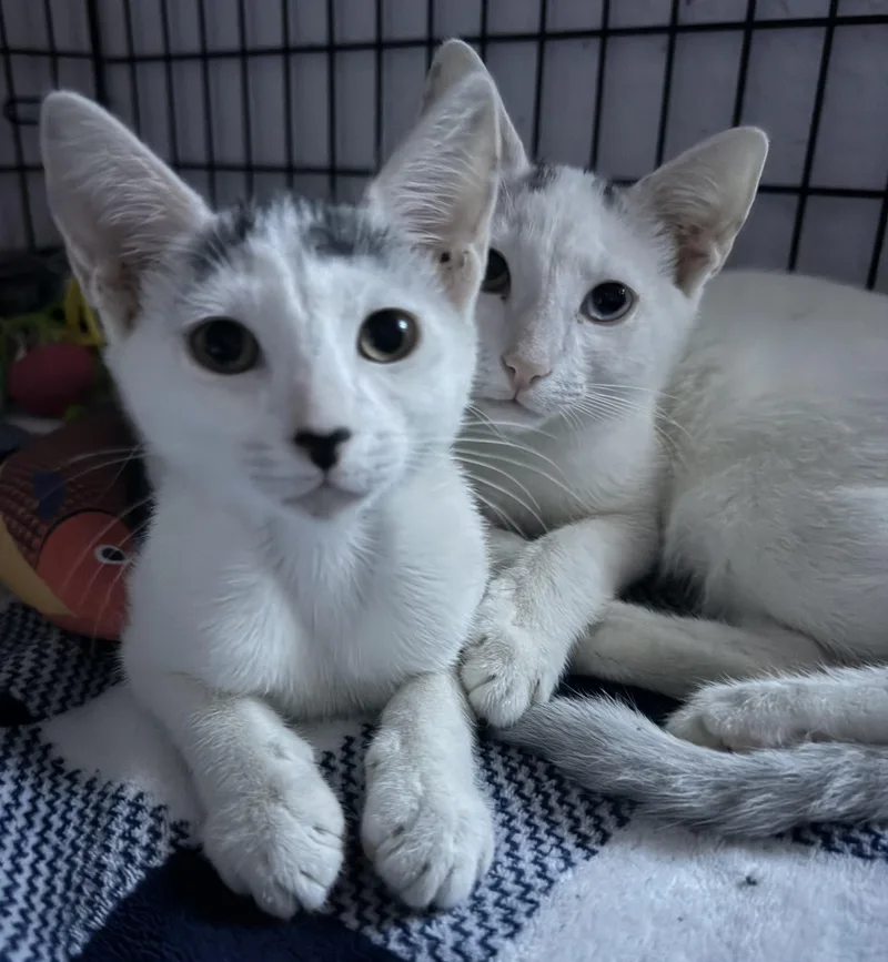 Finn & Willow thumbnail 2
