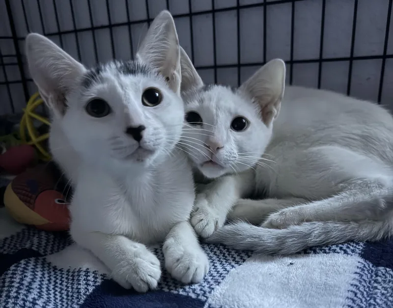 Finn & Willow thumbnail 3