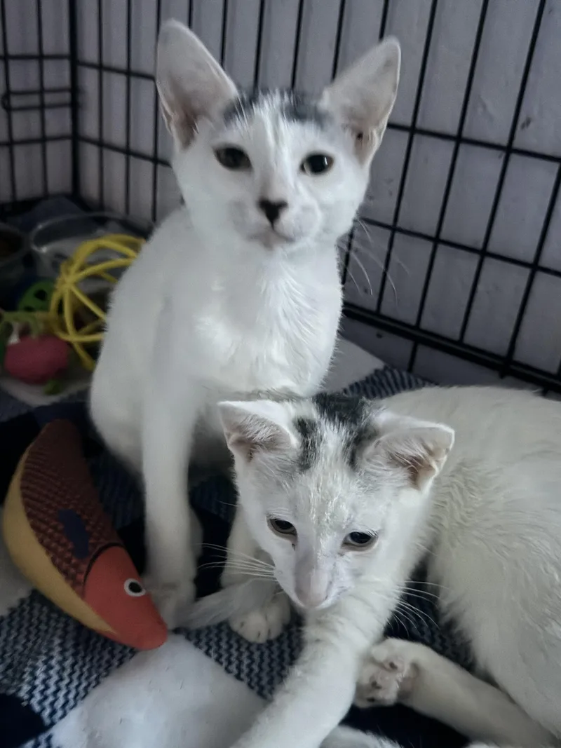 Finn & Willow thumbnail 4