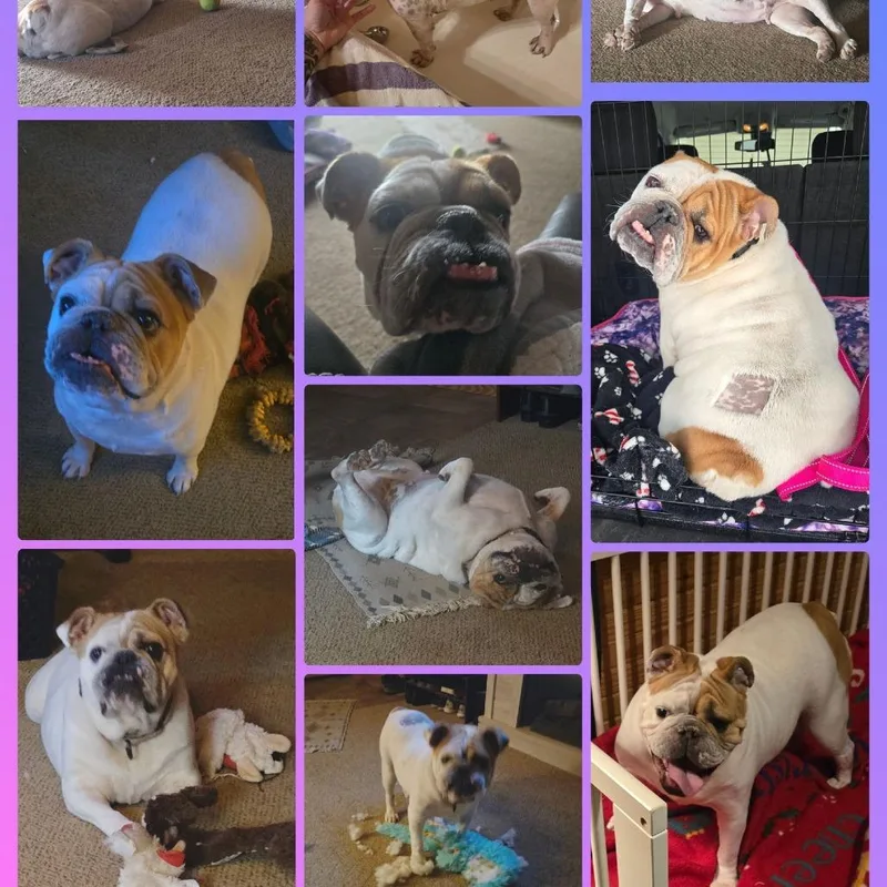 Penelope thumbnail 2