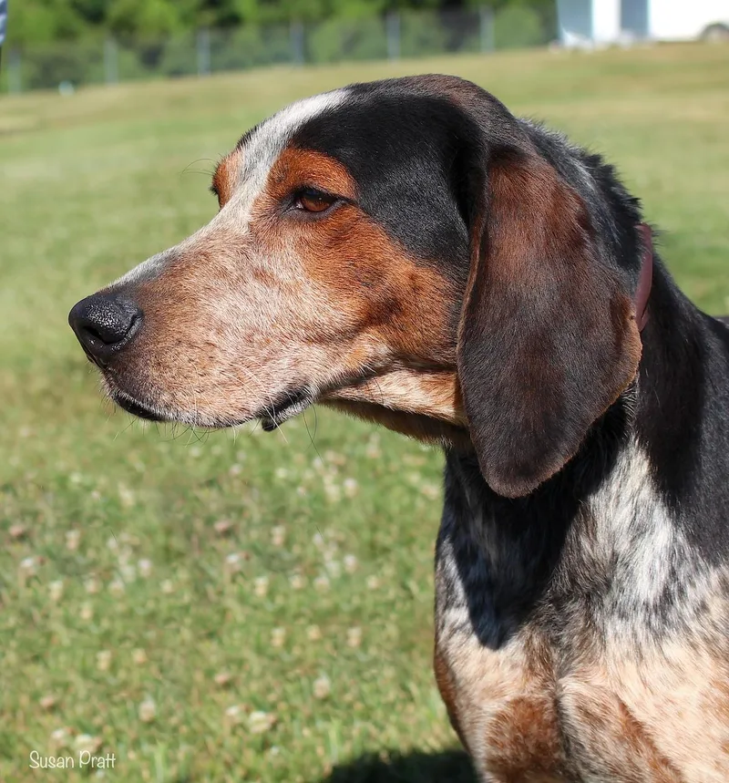 Waylon thumbnail 2