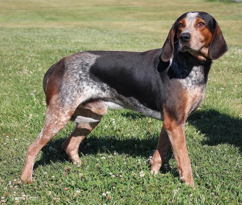 Waylon thumbnail 3